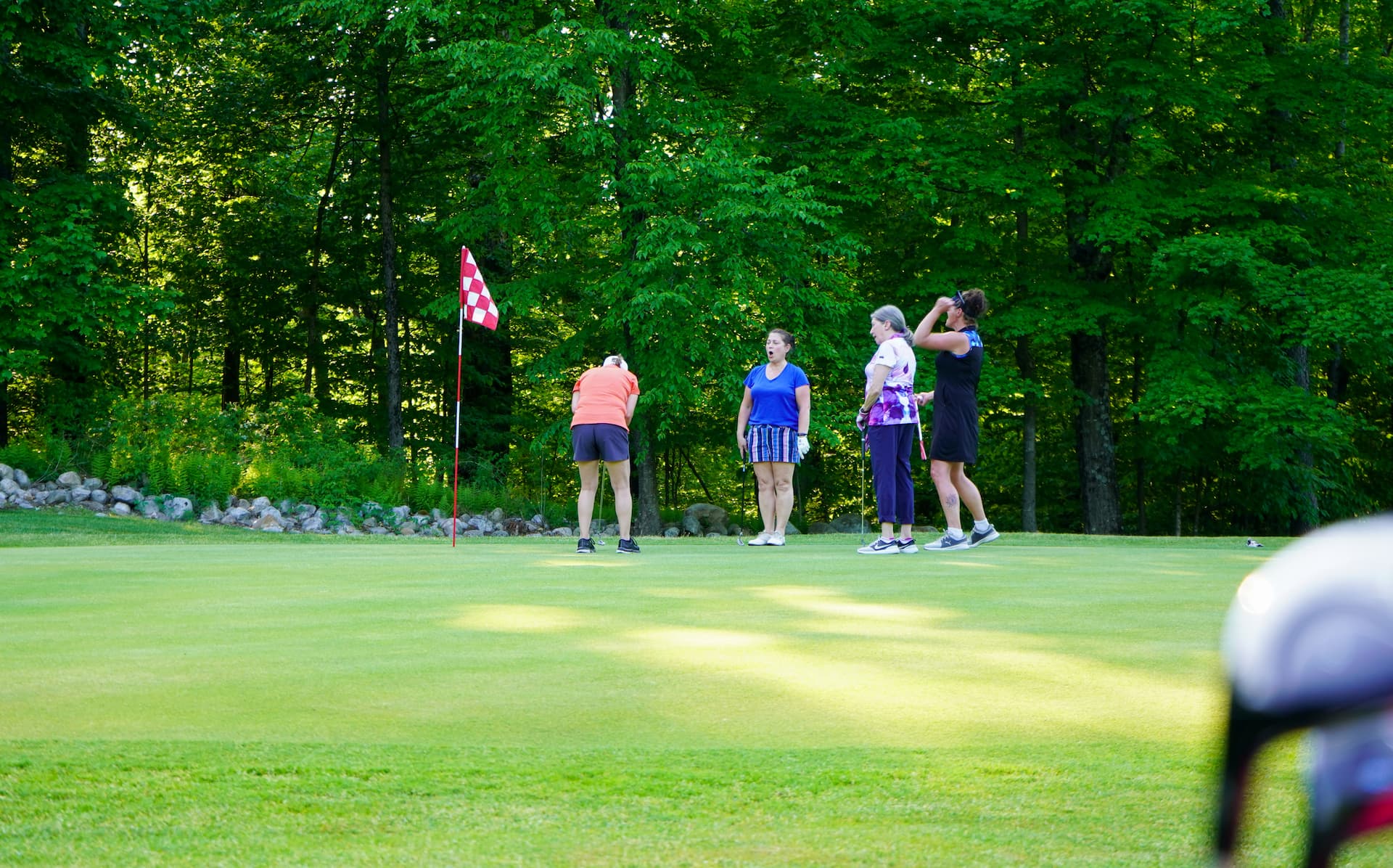 Social Play in a Low Pressure Environment Image