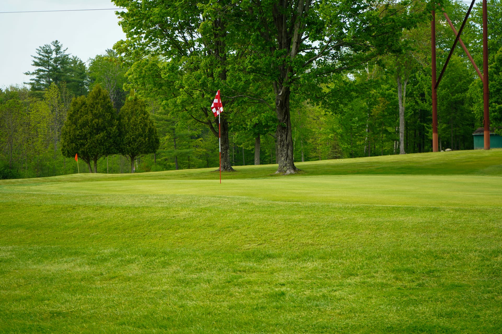 Well-Maintained Golf Course in Rutland image
